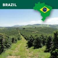 Brazil Mogiana, Colina Soave, NY2 Fine Cup, Strictly Soft, Natural, 1Kg