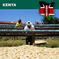 Kenya, Kijano Kiboko AA Plus, Washed, 1kg