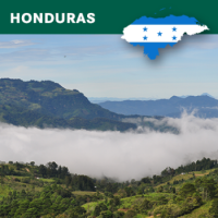 Honduras Siguatepeque, Los Liros, HG EP, Washed, 1kg