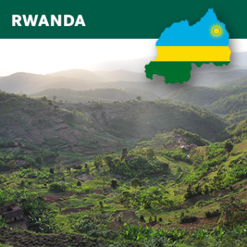 Rwanda Bourbon, Huye Simbi, Honey, 1kg