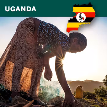 Uganda Mt Elgon, Bugisu AA, Washed, 1kg