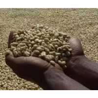 Uganda Mt Elgon, Bugisu AA, Washed, 1kg
