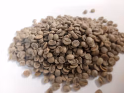 Brazil Mogiana, Colina Soave, NY2 Fine Cup, Strictly Soft, Natural, 1Kg