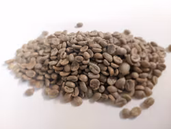 Colombia Women project- San Alberto 2025/0115, Washed, Traceability 1kg