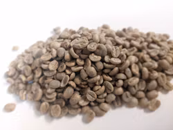 Kenya, Kijano Kiboko AA Plus, Washed, 1kg