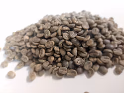 Zimbabwe , Penya Crake Valley Est. AAA Plus, Washed, 1kg