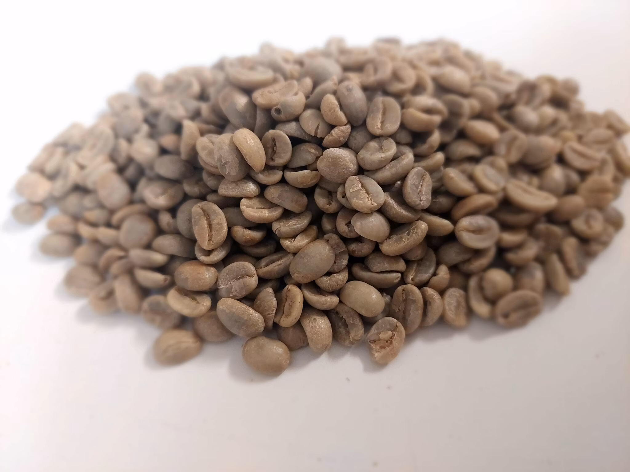 India Plantation Bababudan AA, Washed, 1kg