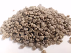 Kenya Kiamutuira AA Top, Washed Traceability, 1kg