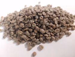 Nicaragua, Fancy Las Mimosas, SHG EP, Washed, 1kg