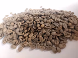 Dominican Rep- Washed Barahona AA Excellence, 2024/0560, 1kg