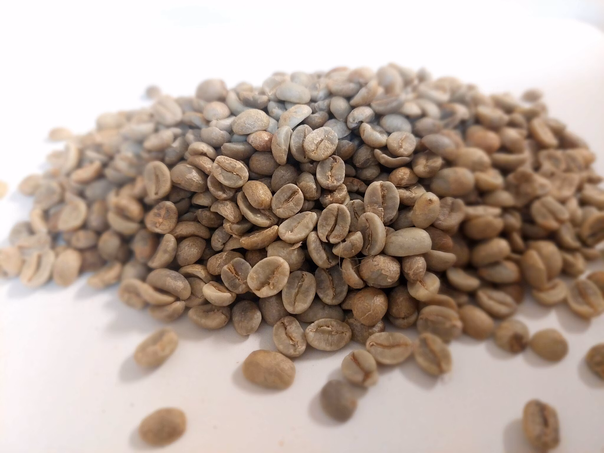 Tanzania Tanga AA , Washed, 1kg