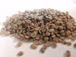 Tanzania Tanga AA , Washed, 1kg