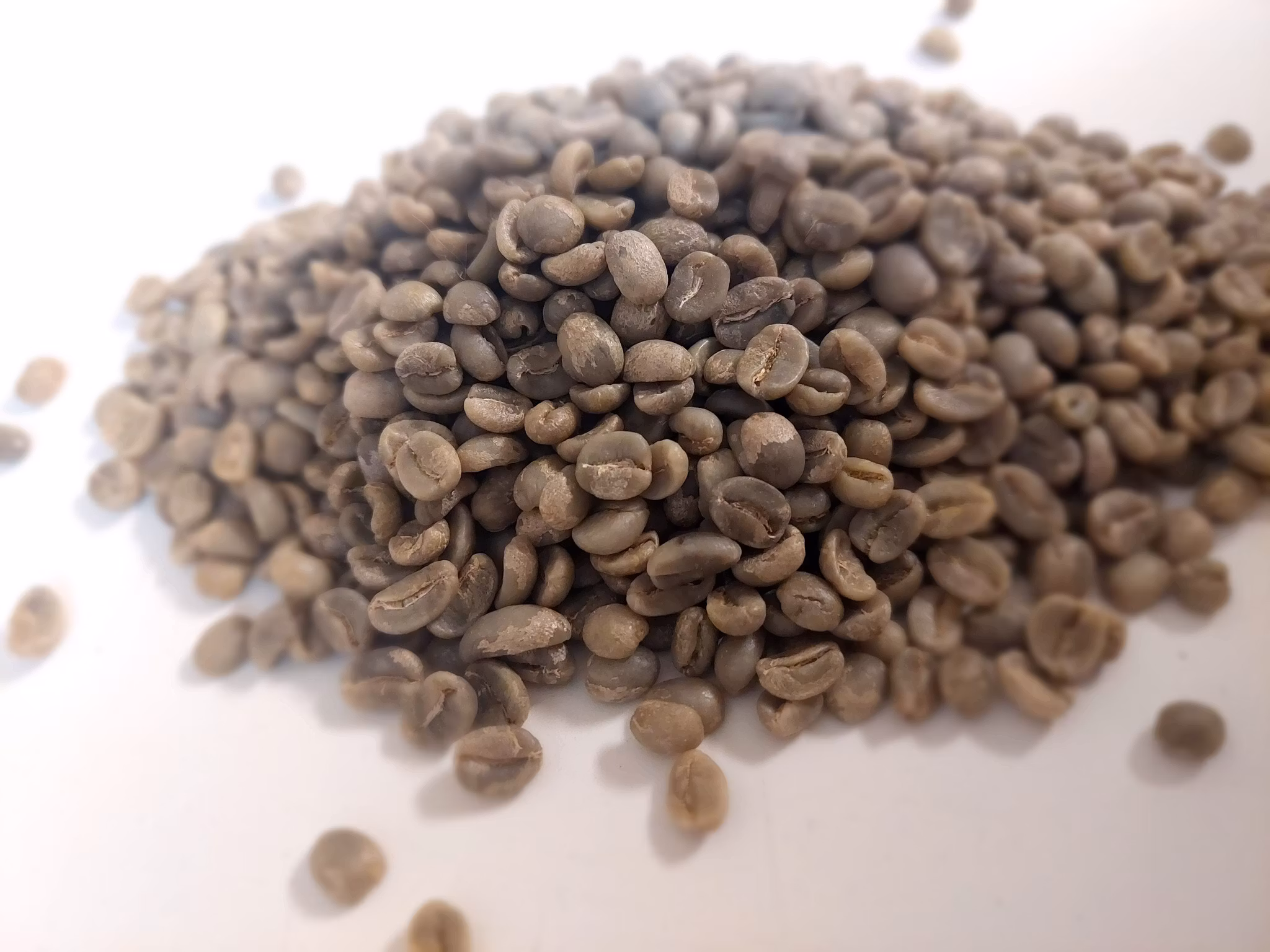 Guatemala Santa Rosa, Finca La Pastoria HB, EP, Washed, 1kg