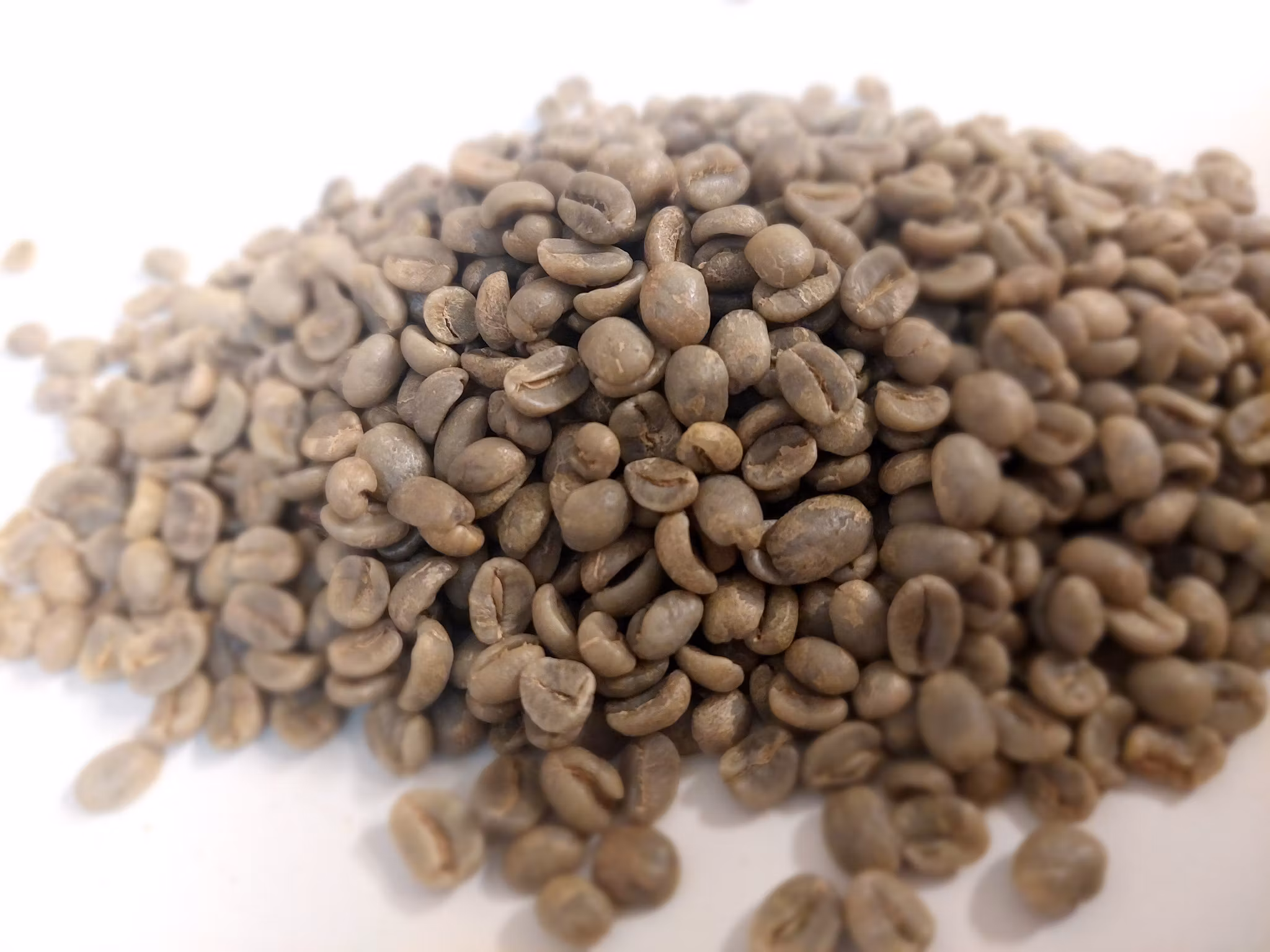 Costa Rica, Tarrazu La Pastora, SHB EP, Washed, 1kg