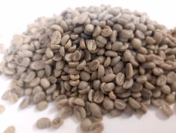 Ethiopia Sidamo Nensebo Gr 1, Washed,  Traceability 1kg