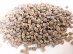 Peru Tres Mosquesteros Gr 1, SHB  Washed, 1kg