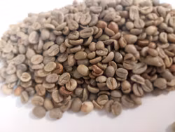 Excellente Blend, 25/140, 1kg