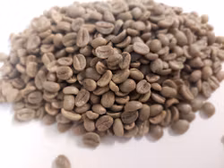 Peru Cajamarca Gr 1 washed, 1kg