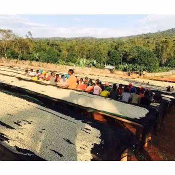 Ethiopia Yirgacheffe gr 1 - Aramo, Natural Traceability, 1kg