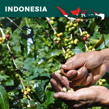 Indonesia Java Jampit A/WP 1X, 1st