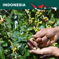 Indonesia Java Jampit A/WP 1X, 1st