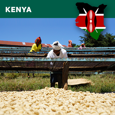 Kenya Marumaru PB Plus, Washed, 1kg