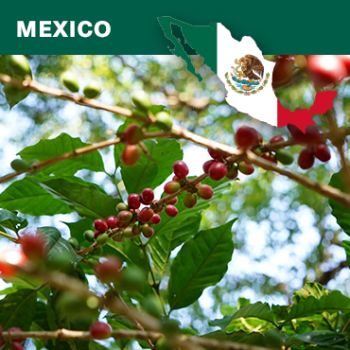 Mexico Women Coffee Bromelias SHG, Traceability, 1kg