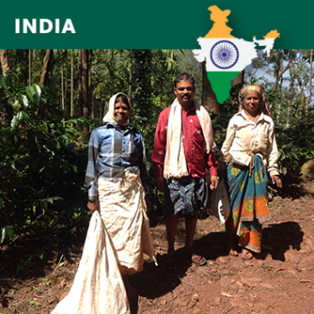 India Arabica Malabar AA, Monsooned, 1kg