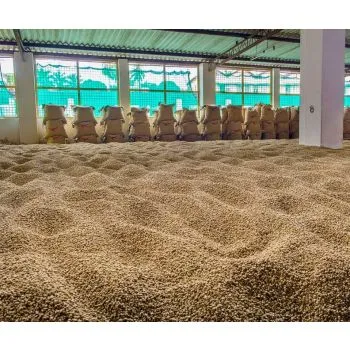 India Arabica Malabar AA, Monsooned, 1kg