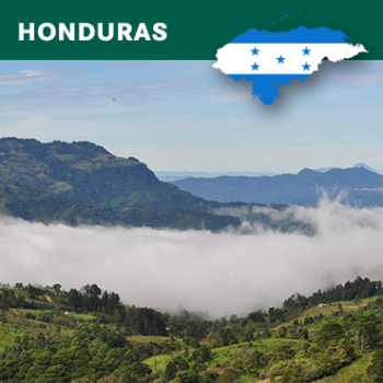 Honduras Flor Azul, SHG EP, Washed, 1kg