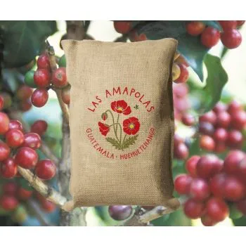 Guatemala Huehuetenango, Las Amapolas, SHB, EB, Washed, 1kg