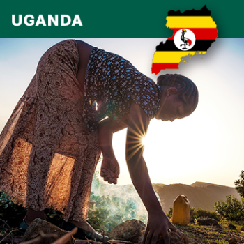 Uganda Robusta, Natural, 1kg
