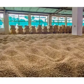 RawCoffee