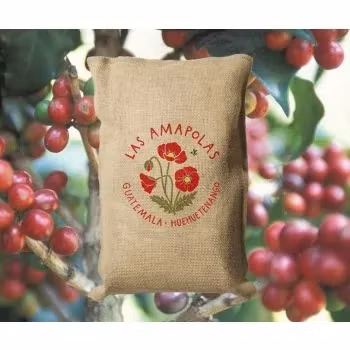 RawCoffee