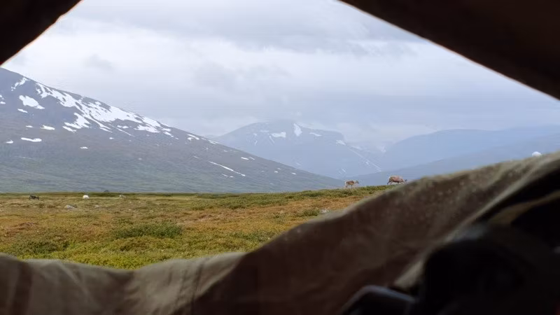 Utforska Kungsleden: Sveriges Ultimata Vandringsupplevelse