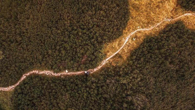 Varför Vandringsstavar är Naturens Bästa Följeslagare