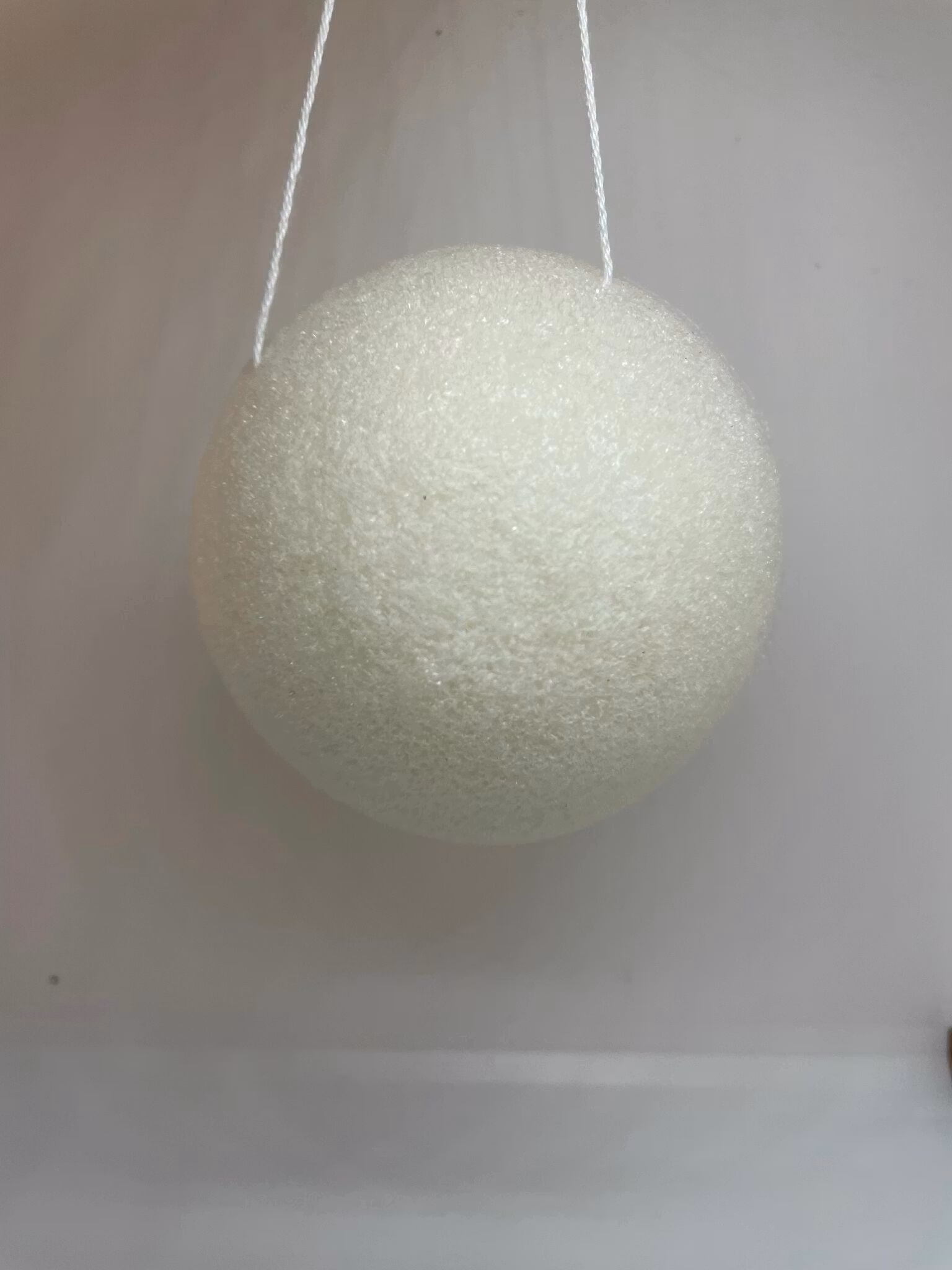 Konjaksvamp, naturlig svamp för ansiktsvård