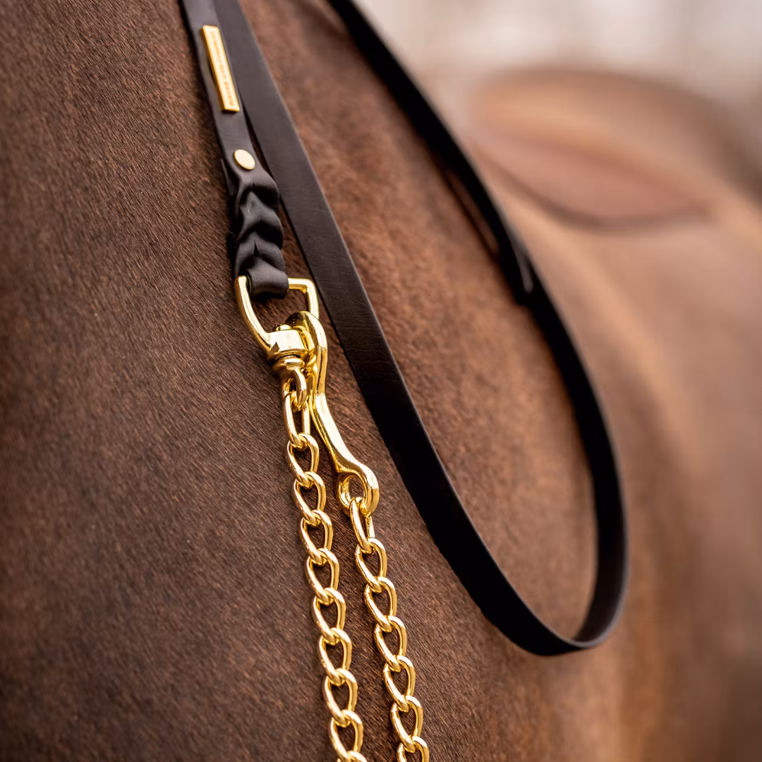 BioThane® grimskaft med hingstkedja