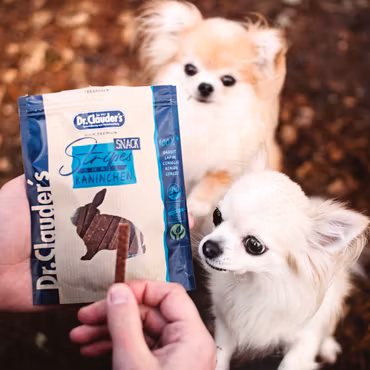 Hundgodis strips 80 g