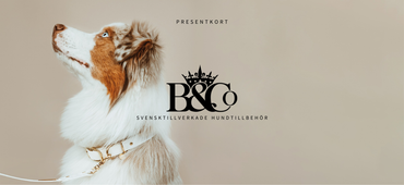 Presentkort 250:-