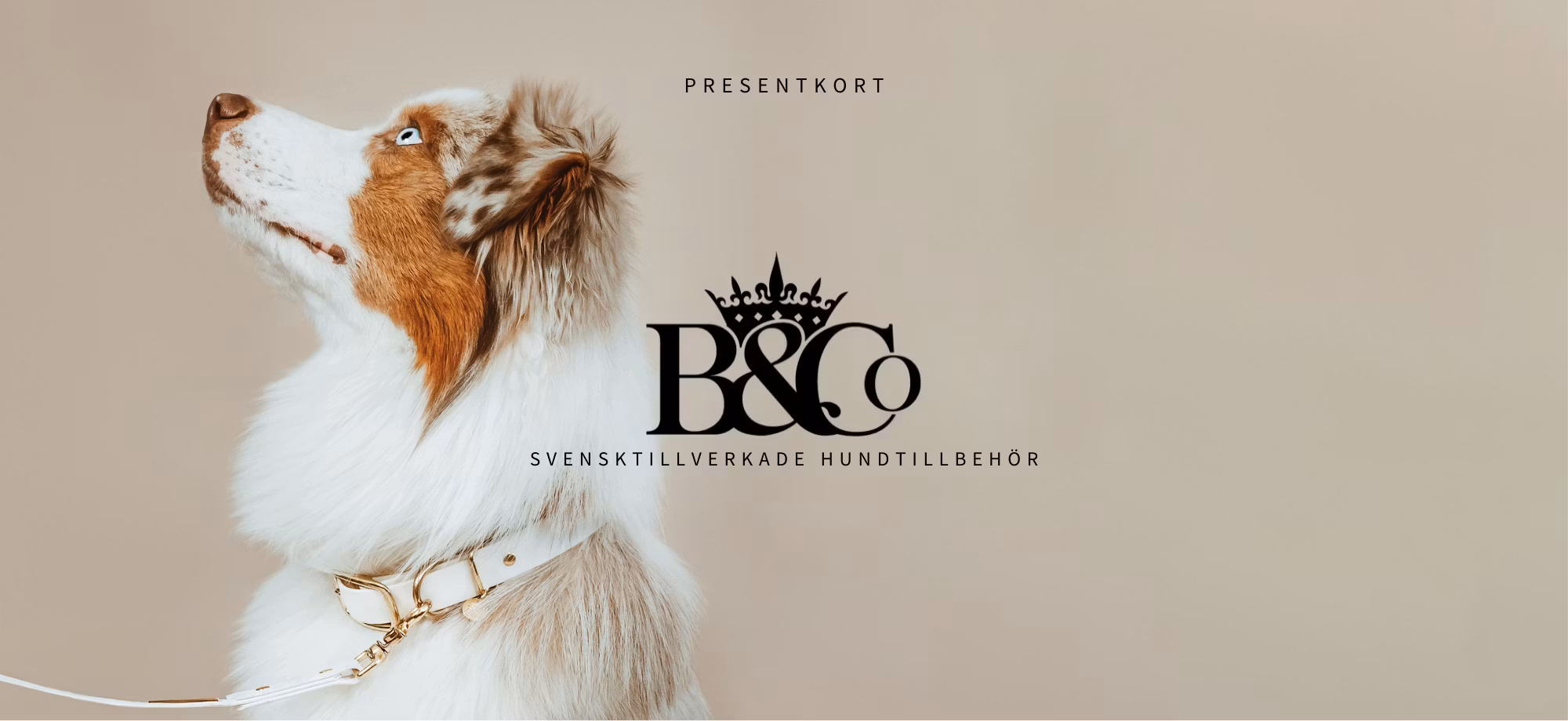 Presentkort 250:-