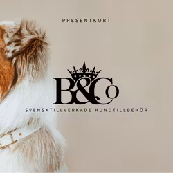 Presentkort 1000:-