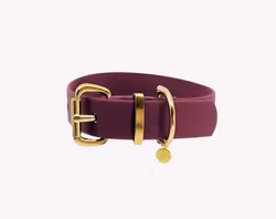 Classic Wine Red Collar - 3.8 cm