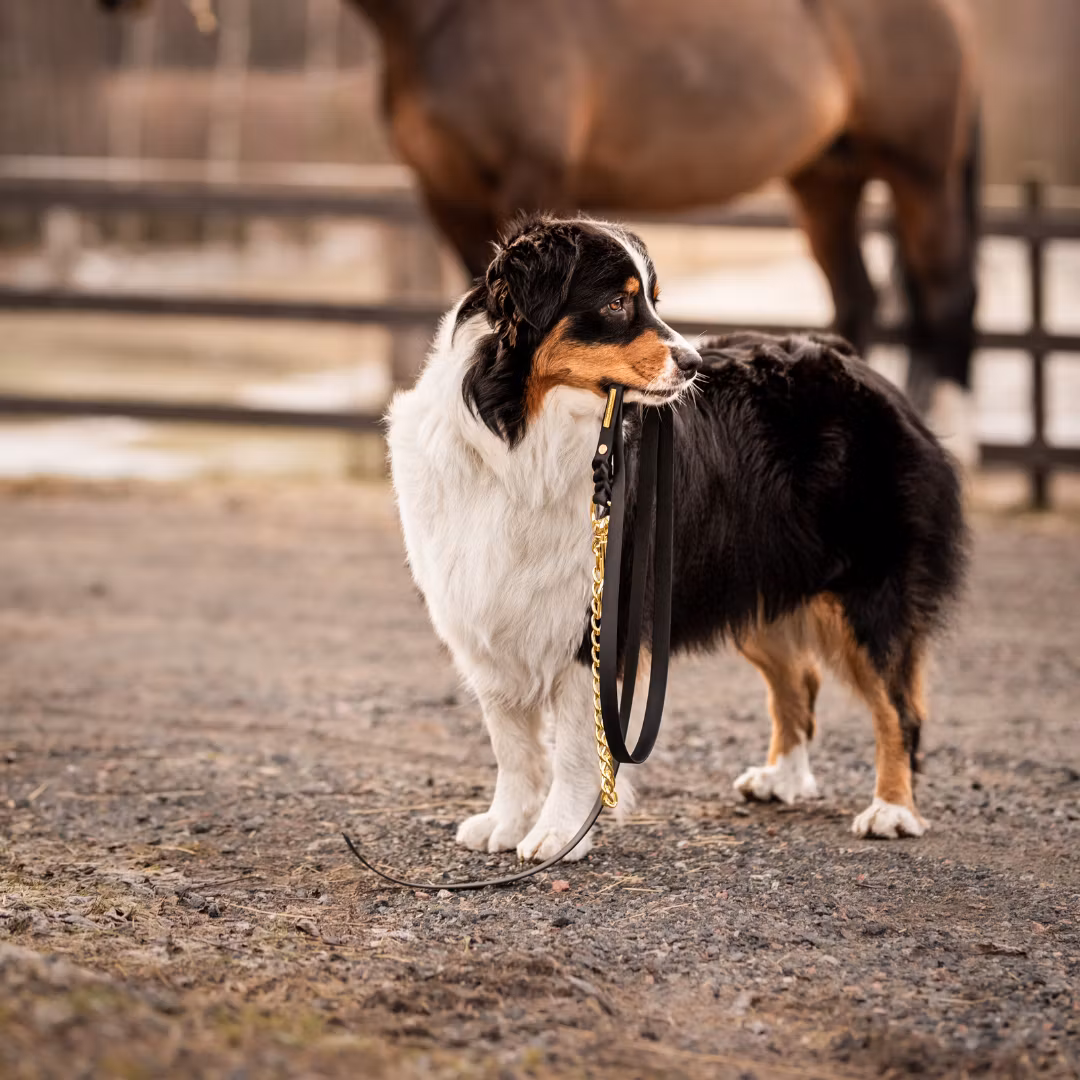 BioThane® grimskaft med hingstkedja