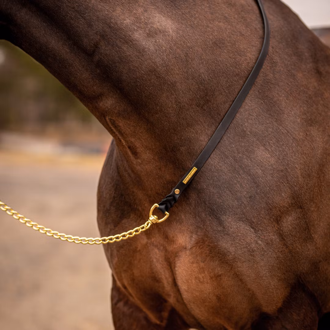 BioThane® grimskaft med hingstkedja