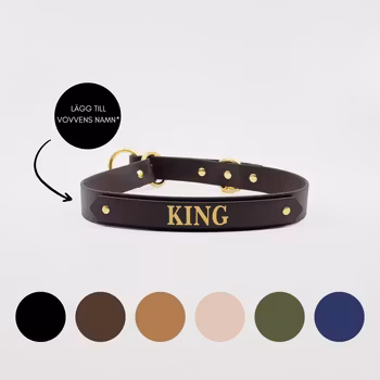 BioThane® Hundhalsband halvstryp