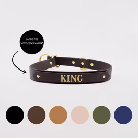 BioThane® Hundhalsband halvstryp
