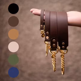 BioThane® halvstryp hundhalsband med kedja