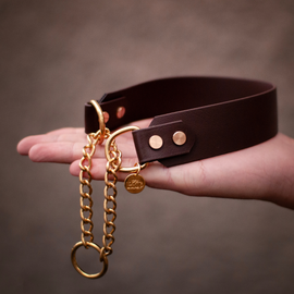 BioThane® halvstryp hundhalsband med kedja