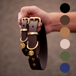 Whippet BioThane® hundhalsband